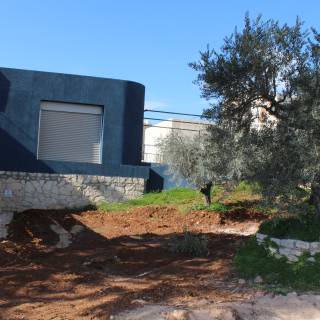 Visuelle Eindrücke der Bodenproben Visuelle Eindrücke der Bodenproben