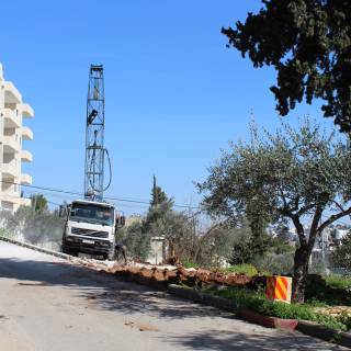 Visuelle Eindrücke der Bodenproben Visuelle Eindrücke der Bodenproben