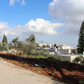 Visuelle Eindrücke der Bodenproben Visuelle Eindrücke der Bodenproben