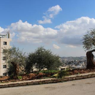 Visuelle Eindrücke der Bodenproben Visuelle Eindrücke der Bodenproben