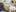 Kleines Baby schreit_copyright KHB