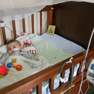 Für diese Reportage können Sie folgendes Bildmaterial honorarfrei nutzen: Für diese Reportage können Sie folgendes Bildmaterial honorarfrei nutzen: