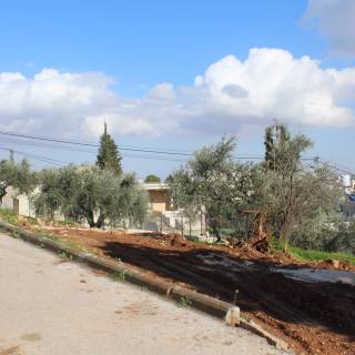 Visuelle Eindrücke der Bodenproben Visuelle Eindrücke der Bodenproben