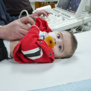 Für diese Reportage können Sie folgendes Bildmaterial honorarfrei nutzen: Für diese Reportage können Sie folgendes Bildmaterial honorarfrei nutzen: