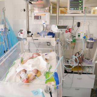 Für diese Reportage können Sie folgendes Bildmaterial honorarfrei nutzen: Für diese Reportage können Sie folgendes Bildmaterial honorarfrei nutzen: