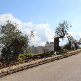 Visuelle Eindrücke der Bodenproben Visuelle Eindrücke der Bodenproben